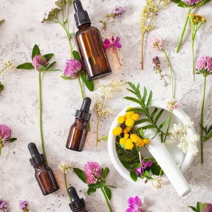 07Cba55f 15F1 4B9e 8870 Ad1407d76772 (1)